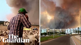 Leave everything, let it burn: goat herder urges as wildfire flares in Turkeys Canakkale