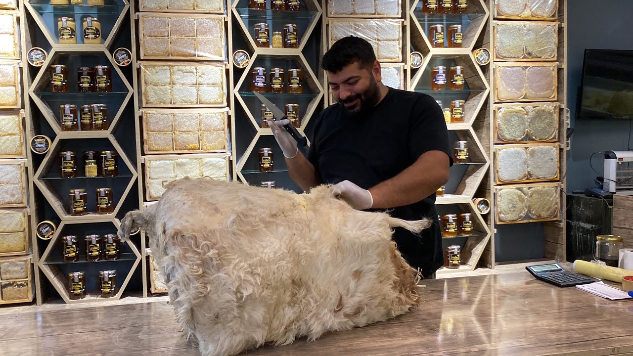 Kars’ta 64 kiloluk tuluk açıldı