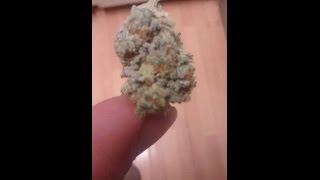 Berry White Strain Review