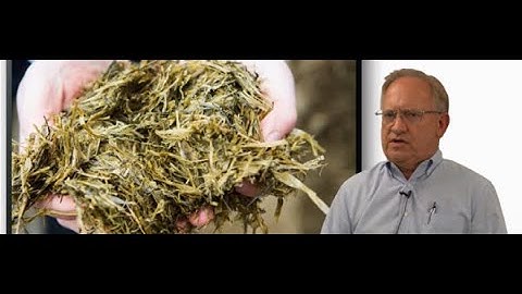 Analysis of Feed and Forage by XRF, Ralph Ward, Cumberland Valley Analytical Services (CVAS)