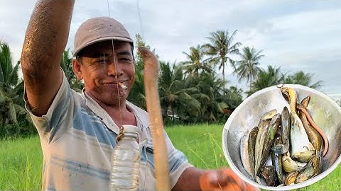 Thả Câu Chai Nhựa Bằng Ba Loại Mồi Khác Nhau - Dính Cá Lương Khủng | ATĐQ - 45