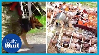 Russia attacks Ukraine village: Drone footage shows scale of destruction