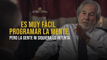 ¿Cómo funciona la mente cuántica?