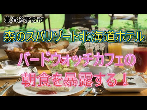 魅惑のスイーツとかわいいエゾリス！世界でも珍しい植物性モール温泉！北海道帯広市にある森のスパリゾート北海道ホテル漫遊記！