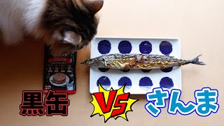 猫に黒缶と秋刀魚を同時に与えたらどっちを食べるのか？