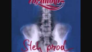 Video thumbnail of "Wolfgang Ambros - Steh grod"