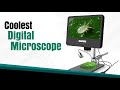 Andonstar AD208 Digital Microscope Review for Teachers