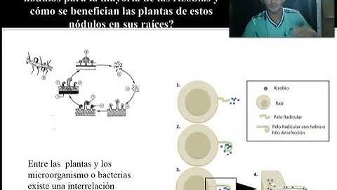 Tarea 3 Video tutorial