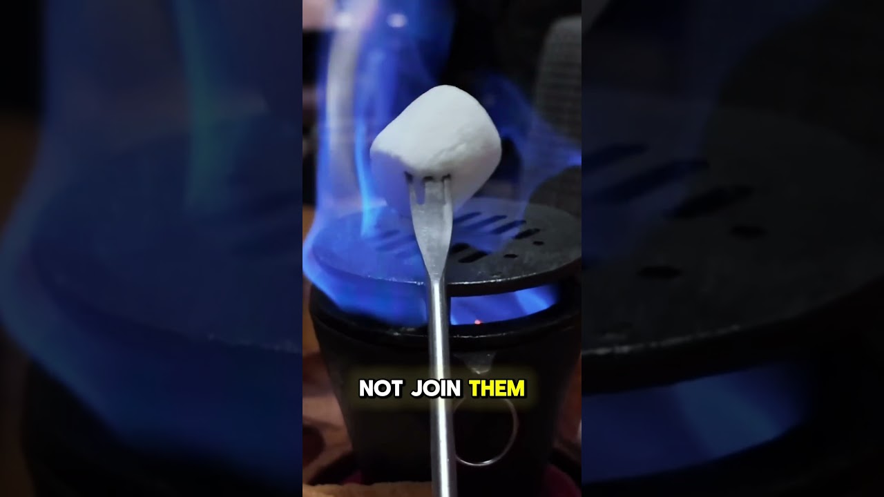 Revenge of the Fifth! 😂 🙌 🔥