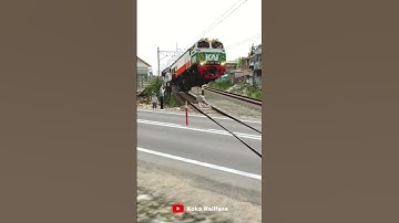 A herd of pigs got lost on the train tracks 😱  #trainzsimulator #train #railroad