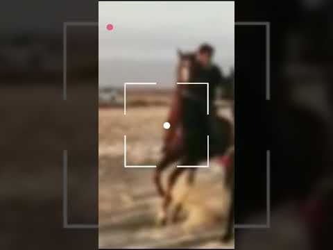 انا وصديقي عمر المرهون