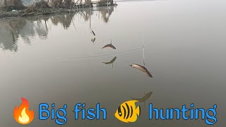 देखिए fish ? hunting | viral मछली पकड़ने का new तरीका | adventure