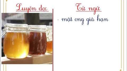 Tập đọc lớp 4: Tuần 22 bài Sầu riêng