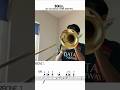Brazil - Frank Sinatra trombone 1 part #jazz #trombone