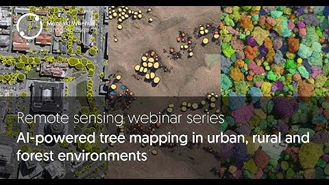AI powered tree mapping in urban, rural and forest environments