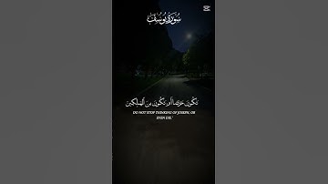 سورة یوسف #quran #اكسبلور #allahquran