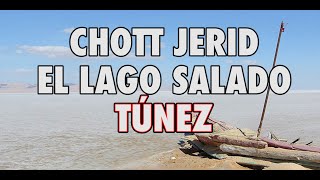 BARCELONAUTES / CHOTT JERID EL LAGO SALADO - TÚNEZ