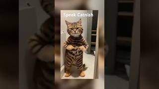 Hips Dont Lie, Do They?