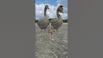 الإوز الكبير مفتوح 