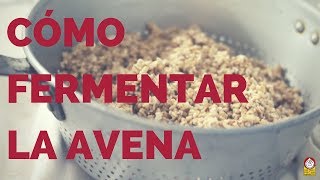 Cómo preparar Y FERMENTAR LA AVENA (SERIE AVENA PARTE 5) - YouTube