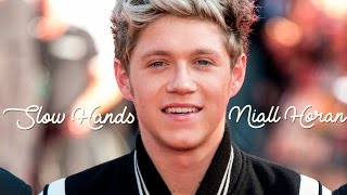 Slow Hands Lyrics (HD) by Niall Horan