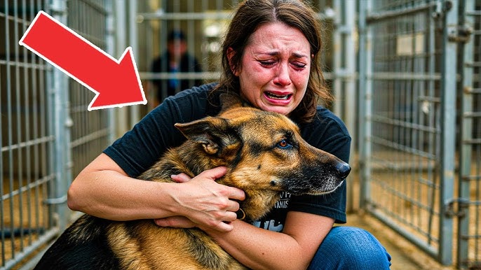 German shepherd mama with her 7 pups - YouTube