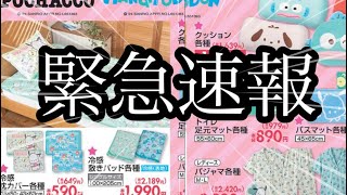 緊急速報！明日発売広告サンリオ新商品来ました！！