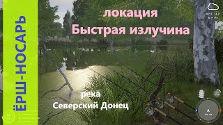 Русская рыбалка 4 - река Северский Донец - Ёрш-носарь на повороте реки