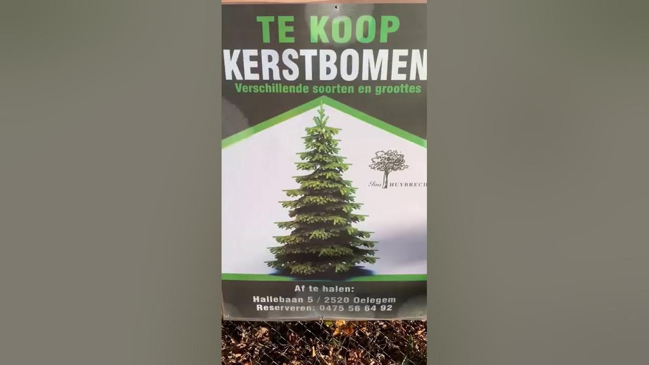 Kerstbomen te koop in Oelegem 2520 YouTube