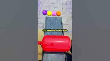 Incredible Fact: The Human Brain Processes 11 Million Pieces of Information Per Second!