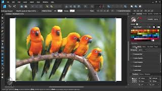 Kaca buram dengan Layer Mask & Effects Gaussian Blur dan Color Overlay - Affinity Designer