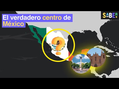 ¿Cuál es el