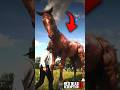 El Caballo MÁS GRANDE de RDR2