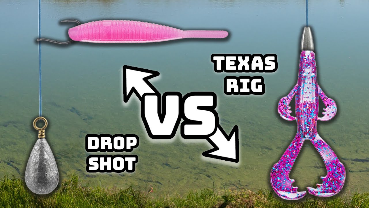 Fishing A DROP SHOT VS. TEXAS RIG (Which One Is BETTER??) 