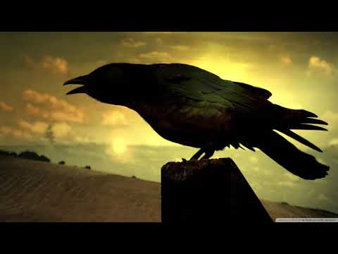 sean-bigcanoe---midnight-flight