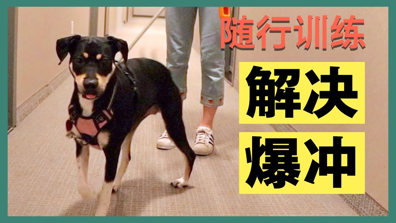 一招从根源解决爆冲！99%的人都把随行训练做错了