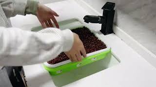 Elfsys Grow Kit Start Planting Guide