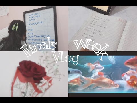 Study vlog | Final week | stress 😩