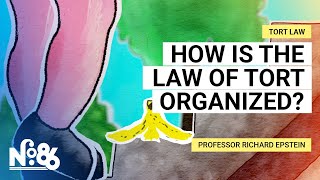 How is the Law of Tort Organized? [No. 86]