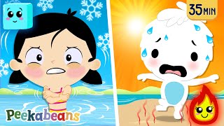 Hot and Cold Song🔥❄️ Learning Opposites 🥵🥶 More Kids Songs by Peekabeans