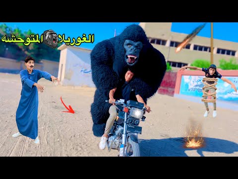 لما غوريلا المتوحشه تهجم عليكم في البيت وتخطف اخوك الصغير علاء حسين 
