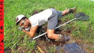 SAVING CRITTERS Stuck in MUDDY SINK HOLE!