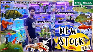 Shop visit:65| New Stock of Aquarium plants & Aquarium Fishes At Water World Aquarium Fish shop|