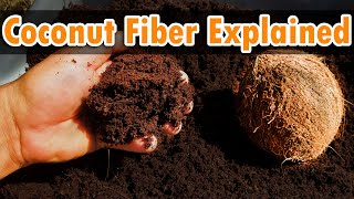 Coconut Fiber (Coir) - Benefits and Uses