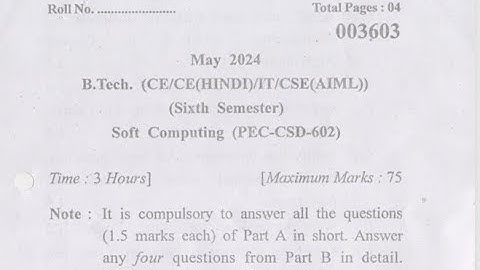 BTECH CS SOFT COMPUTING QUESTION PAPER 2024 YMCA