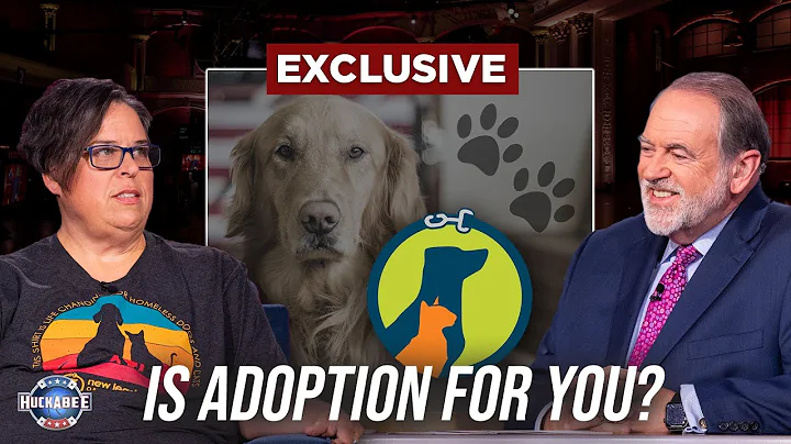 Why YOU Should Adopt SENIOR Pets | Angela Chapman ...