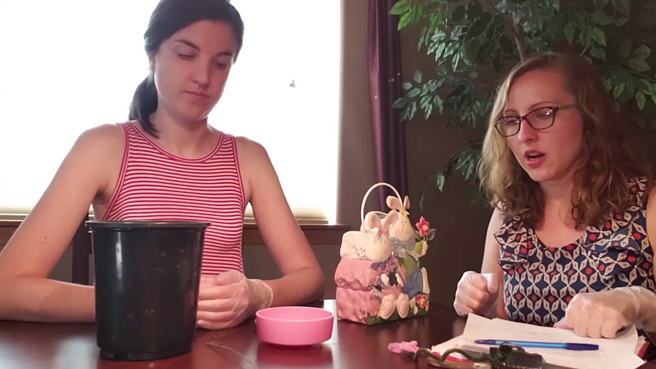 HT Session #1: ADA ROM RUE Patient "Phyllis" by Katherine Cox, HTS