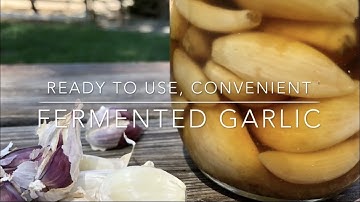 Super Easy, Ready to Use Garlic; Fearless Fermenting; Homesteading Family