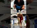 Maria Sharapova&#39;s Guided Yoga Workout! 🔥