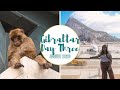 ATTACKED BY A MONKEY ON GIBRALTAR ROCK AND TRAVELLING HOME // Gibraltar Trip #04